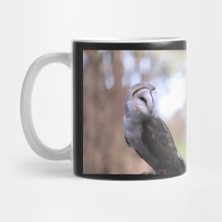 Barn Owl Mug